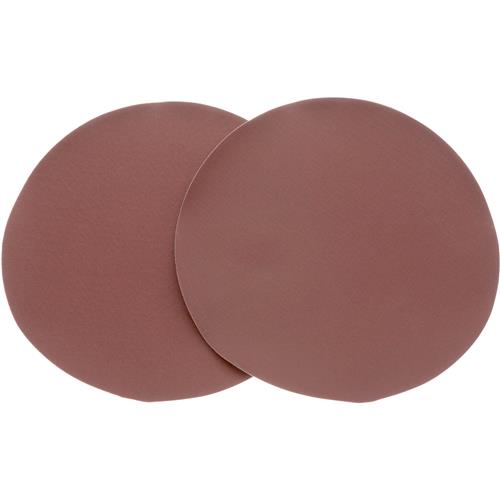 Image for Woodstock D1334 - 10" A/O Sanding Disc, 220 Grit PSA, 2 Pk.